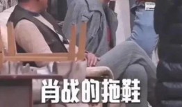 明星吃瓜爆料导演视频,明星吃瓜爆料视频全记录